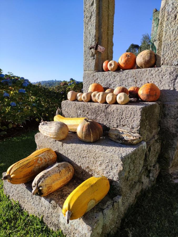 Casa Da Mata Βίλα Paredes de Coura Εξωτερικό φωτογραφία